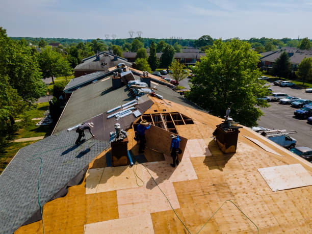 Trusted Roof Replacement service in Newport Coast, CA - Brentwood Metal Roofing